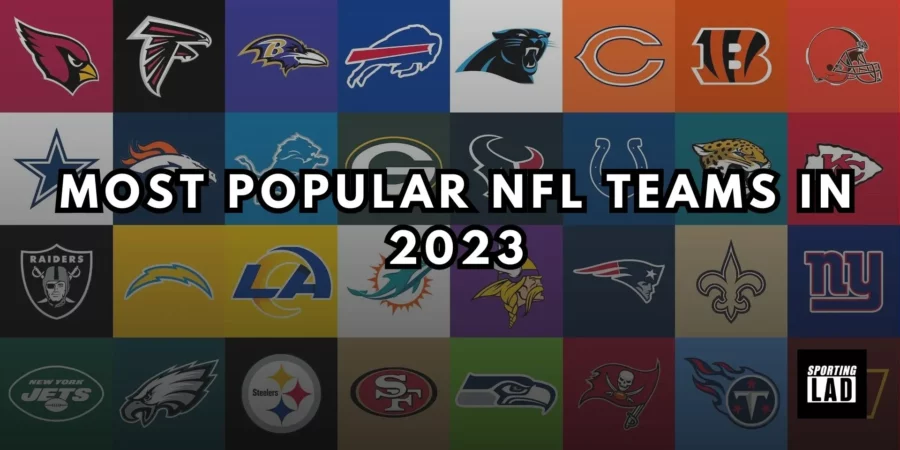 Which state has the most NFL teams?